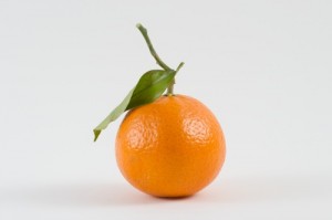 clementine toujours