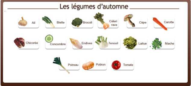 clipart fruits et légumes d'automne - photo #23