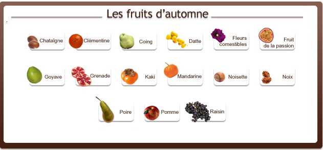 clipart fruits et légumes d'automne - photo #29