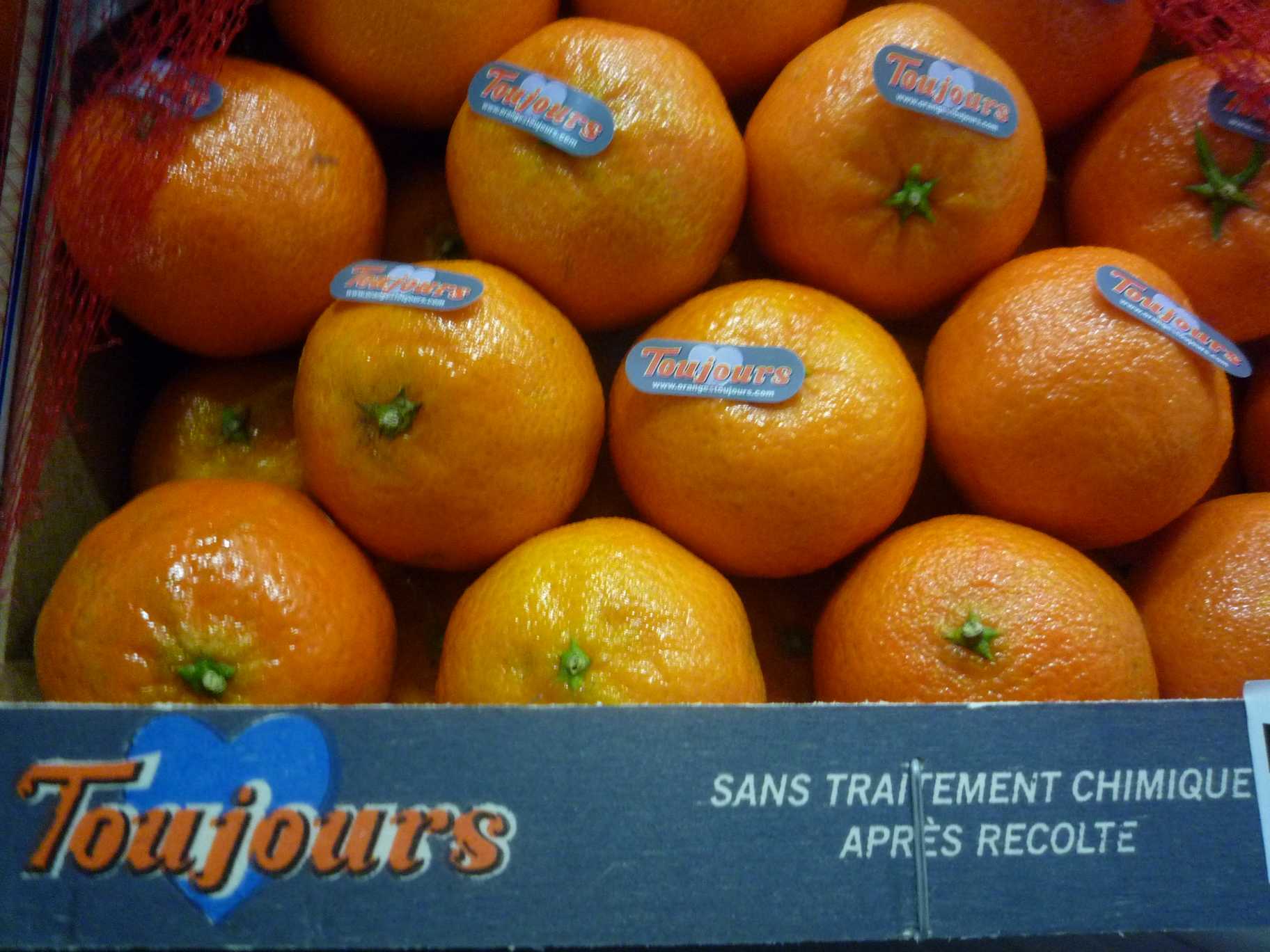 clémentines hernandines toujours