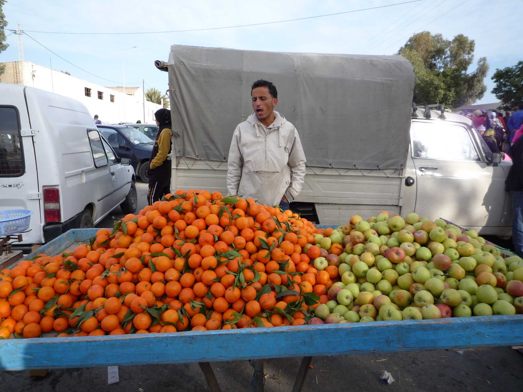 vendeur de maltaise de tunisie