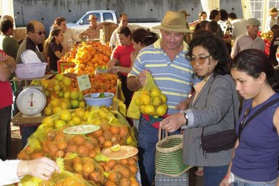 foire aux agrumes , oranges, clémentines, citrons non traités