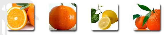 agrumes espagne oranges clémentines citrons