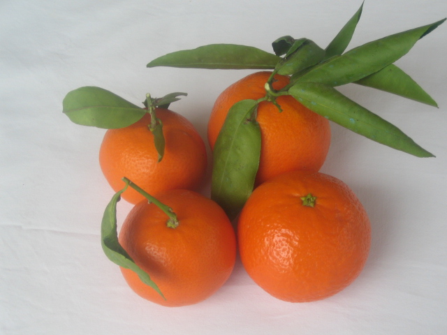 clementines espagne non traités toujours