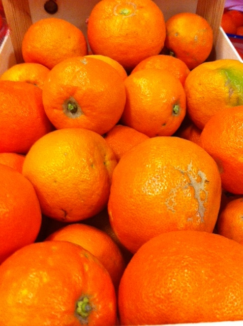 orange amère pour confiture de grand mère