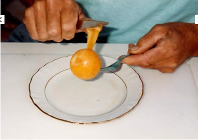 nèfle RUCHEY nèfle RUCHEY