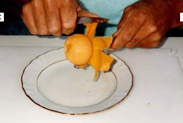 nèfle RUCHEY nèfle RUCHEY